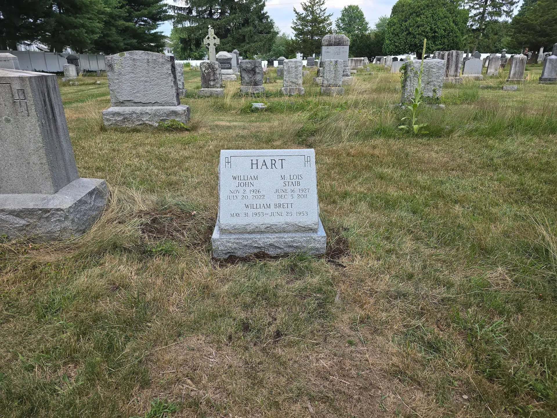 Granite Monument (local) hand-carved by Monument Finder in NJ — image 3